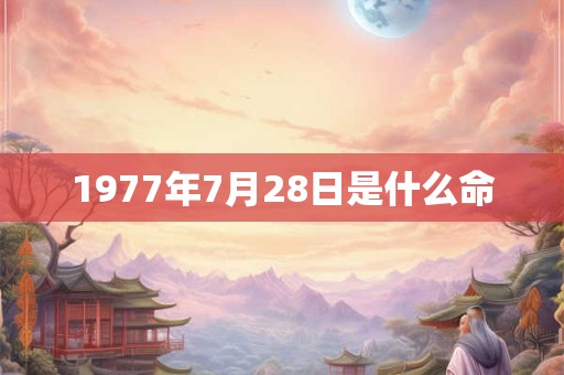 1977年7月28日是什么命