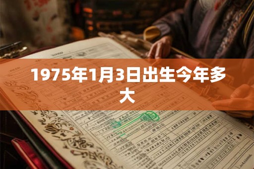 1975年1月3日出生今年多大