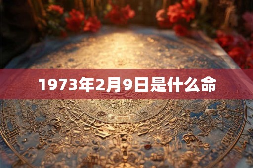 1973年2月9日是什么命