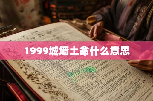 1999城墙土命什么意思