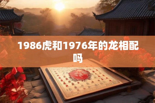 1986虎和1976年的龙相配吗