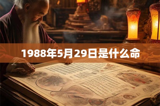 1988年5月29日是什么命
