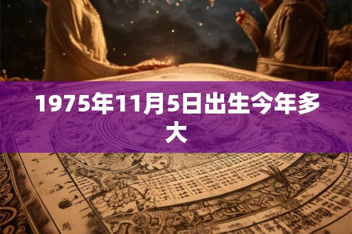 1975年11月5日出生今年多大