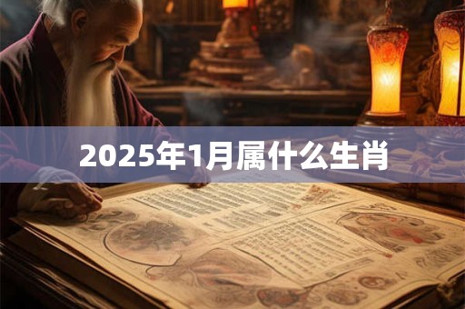 2025年1月属什么生肖