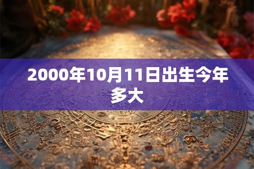 2000年10月11日出生今年多大