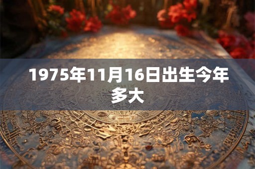 1975年11月16日出生今年多大