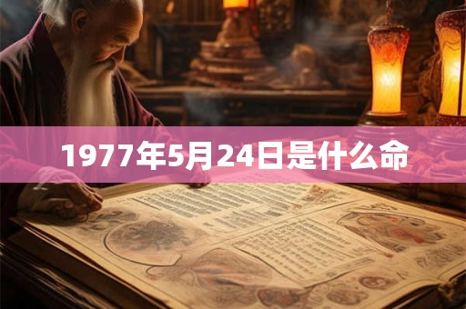 1977年5月24日是什么命