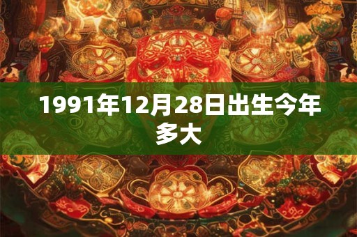 1991年12月28日出生今年多大