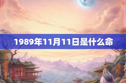 1989年11月11日是什么命