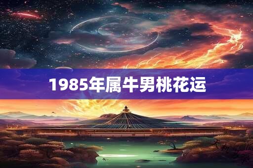 1985年属牛男桃花运