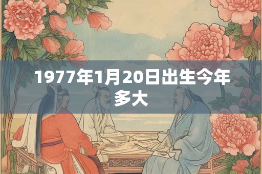 1977年1月20日出生今年多大