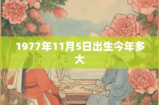 1977年11月5日出生今年多大