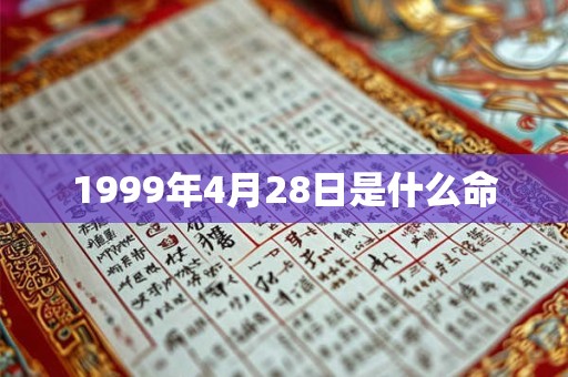 1999年4月28日是什么命