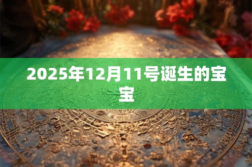 2025年12月11号诞生的宝宝