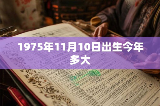 1975年11月10日出生今年多大