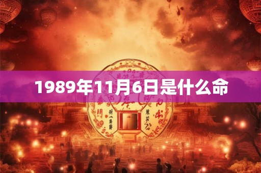 1989年11月6日是什么命