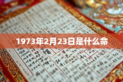 1973年2月23日是什么命