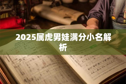 2025属虎男娃满分小名解析