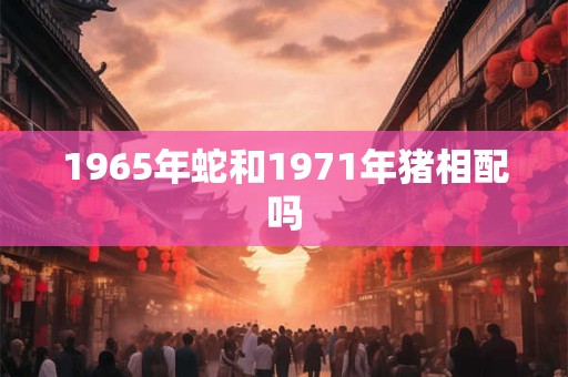 1965年蛇和1971年猪相配吗