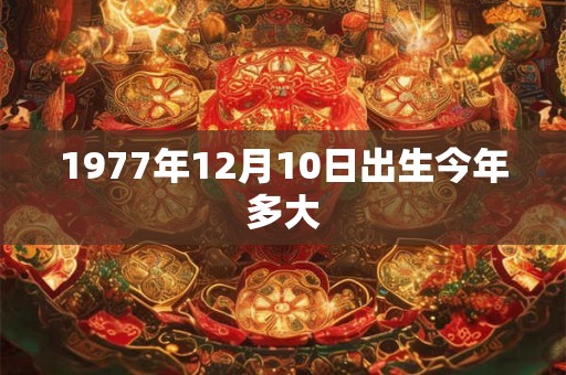 1977年12月10日出生今年多大