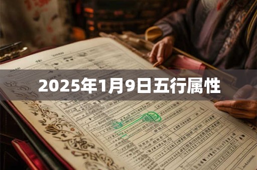 2025年1月9日五行属性