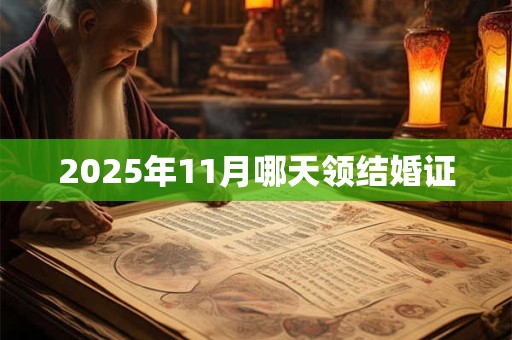 2025年11月哪天领结婚证
