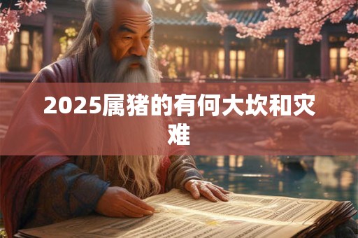 2025属猪的有何大坎和灾难