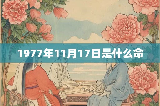 1977年11月17日是什么命