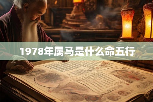 1978年属马是什么命五行