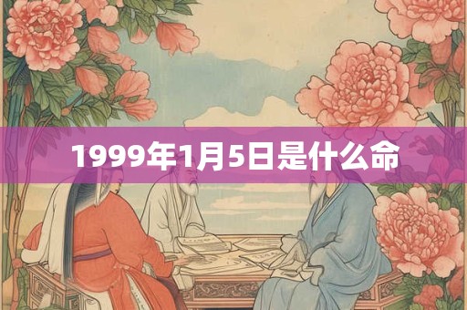 1999年1月5日是什么命