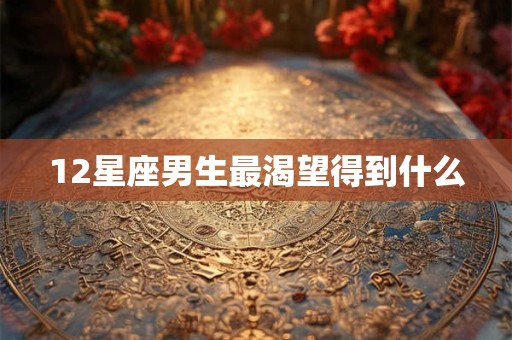 12星座男生最渴望得到什么
