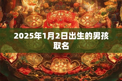 2025年1月2日出生的男孩取名