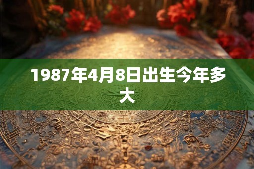 1987年4月8日出生今年多大