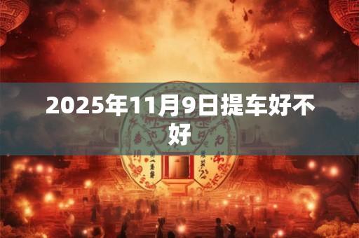 2025年11月9日提车好不好
