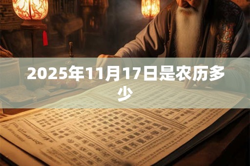 2026年11月17日是农历多少
