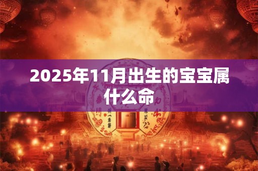 2025年11月出生的宝宝属什么命
