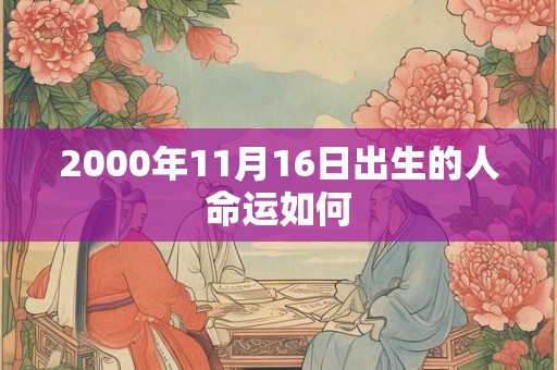 2000年11月16日出生的人命运如何