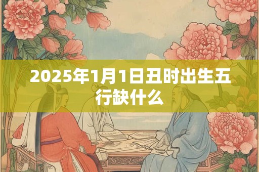 2025年1月1日丑时出生五行缺什么
