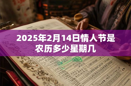 2025年2月14日情人节是农历多少星期几