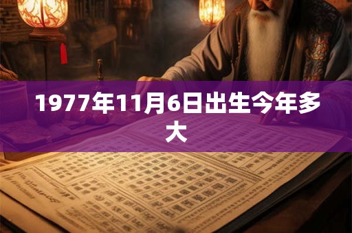 1977年11月6日出生今年多大