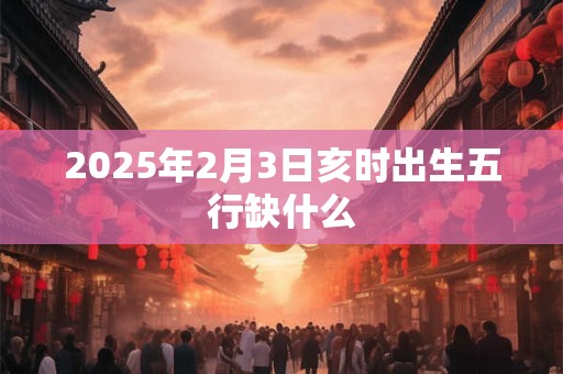 2025年2月3日亥时出生五行缺什么