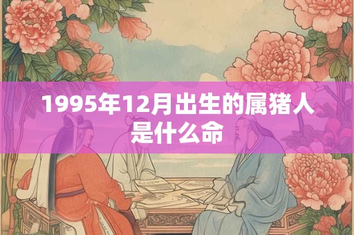 1995年12月出生的属猪人是什么命