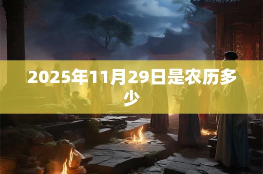 2025年11月29日是农历多少