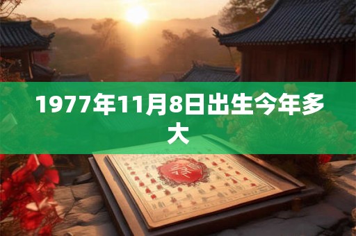 1977年11月8日出生今年多大
