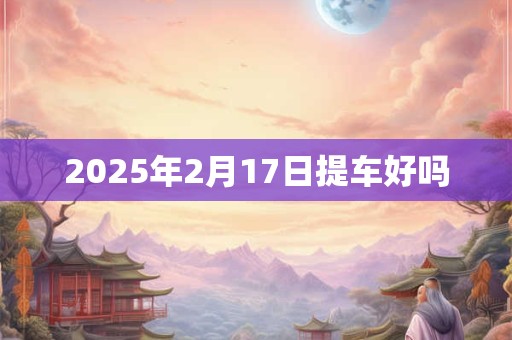 2025年2月17日提车好吗