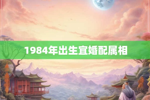 1984年出生宜婚配属相