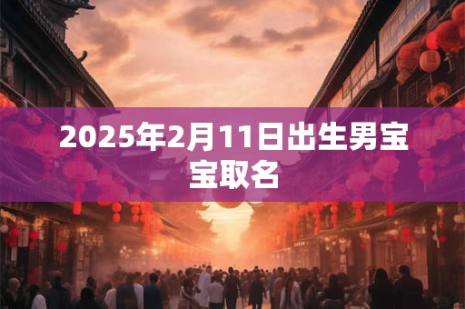 2025年2月11日出生男宝宝取名