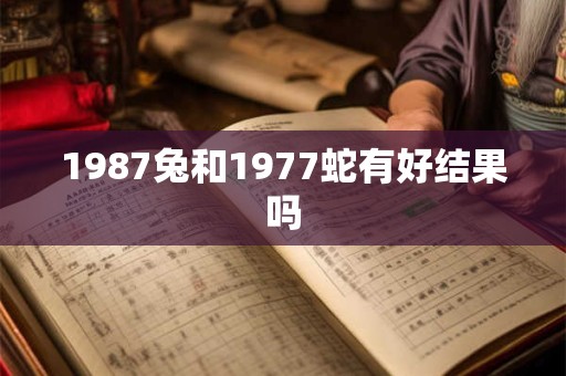 1987兔和1977蛇有好结果吗