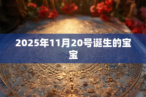 2025年11月20号诞生的宝宝