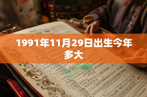 1991年11月29日出生今年多大